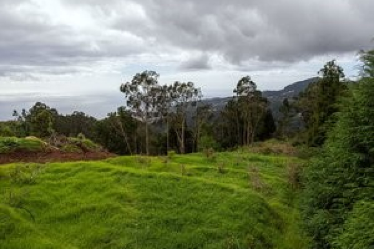 land 
