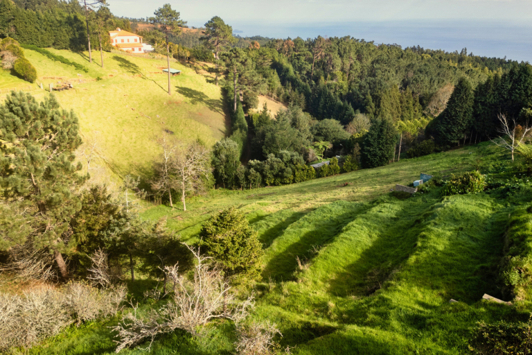 Terreno